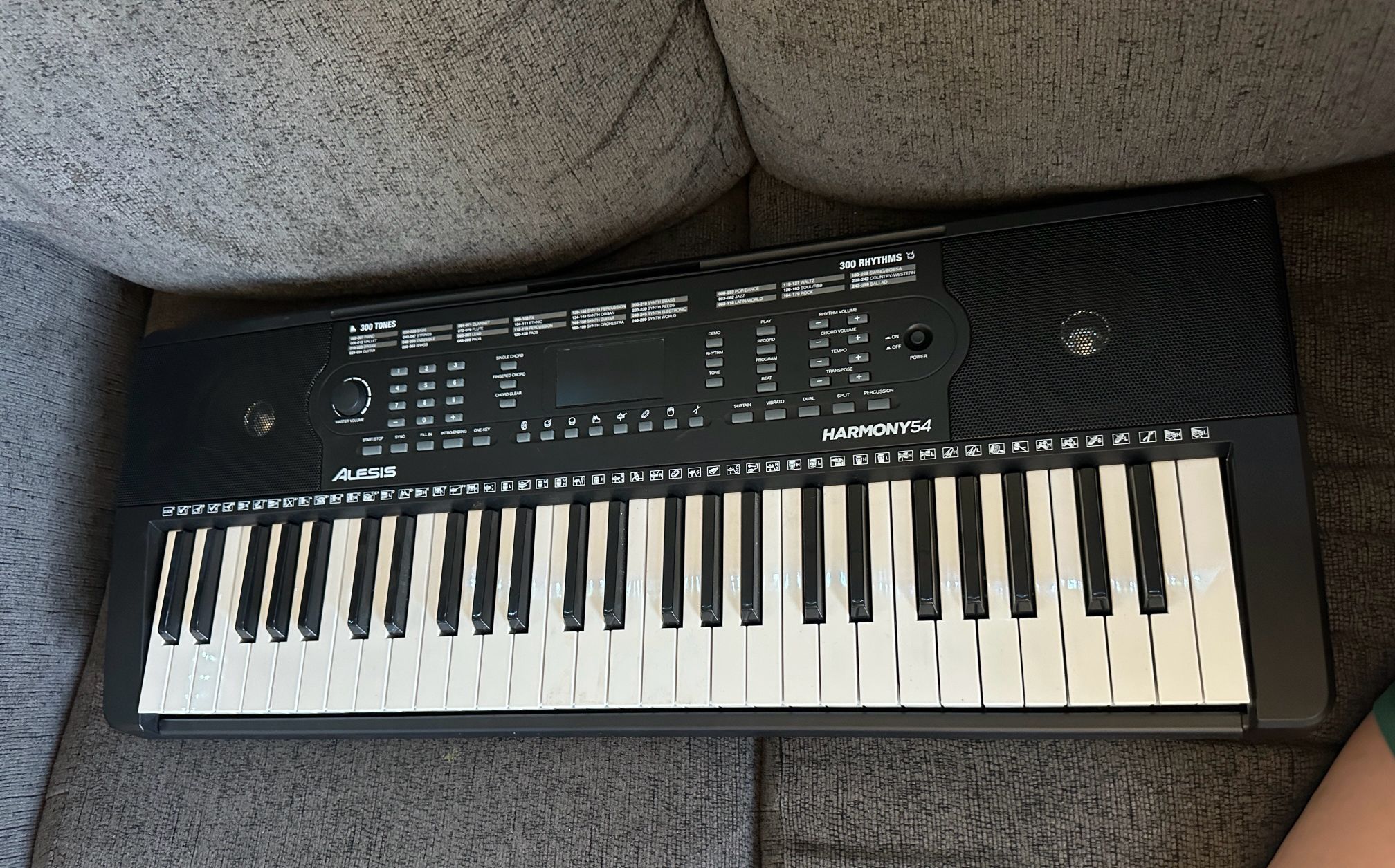 Alesis Harmony 54 54-Key Portable Keyboard With Built-In Speakers