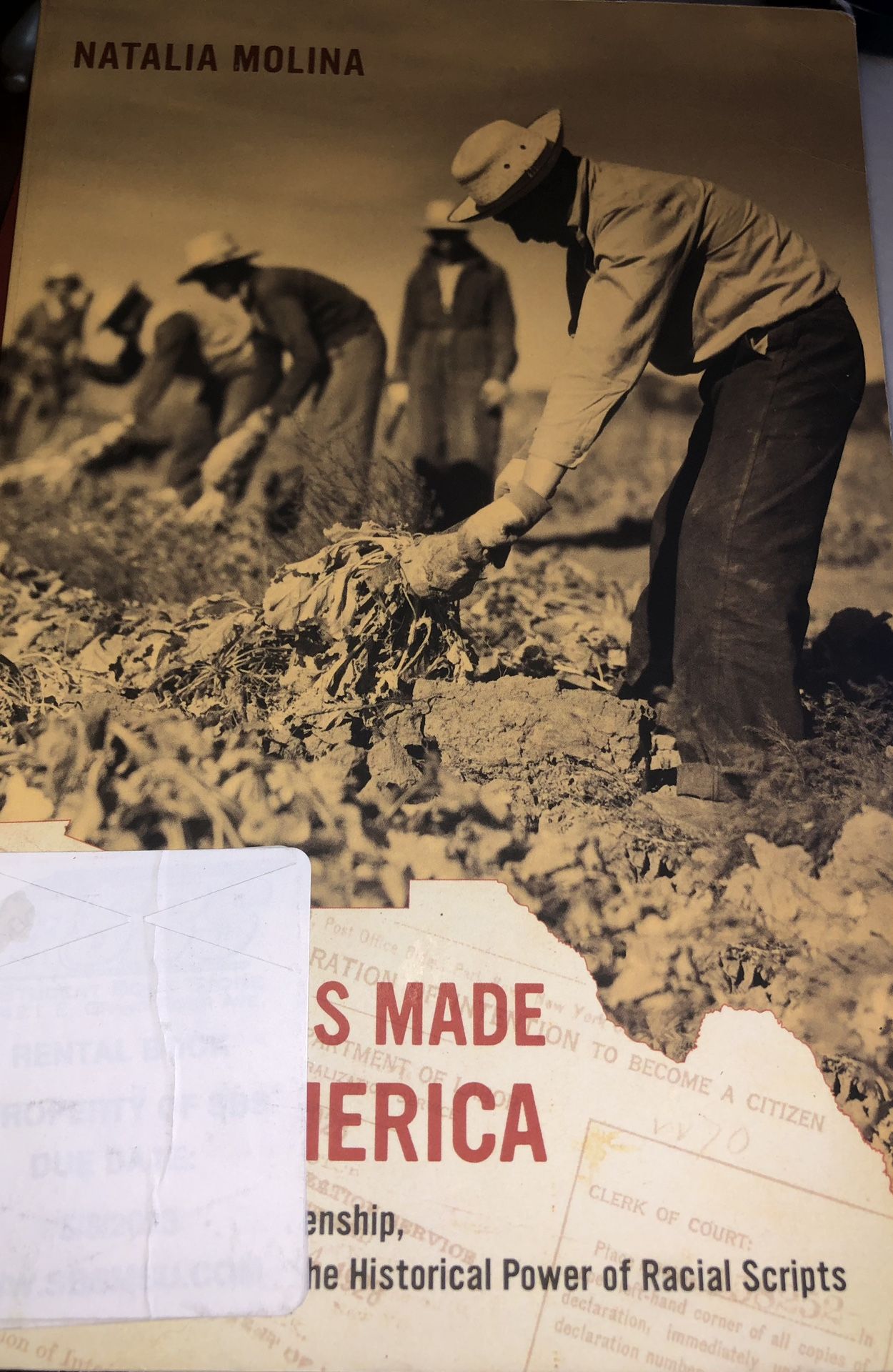 How Race Is Made In America