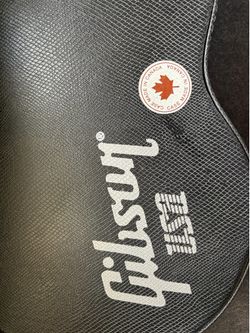 Guitar Case Ginbson