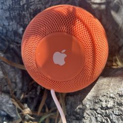 HoME POd MiNi