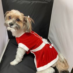 Christmas Dog Clothes: Small,medium and Large