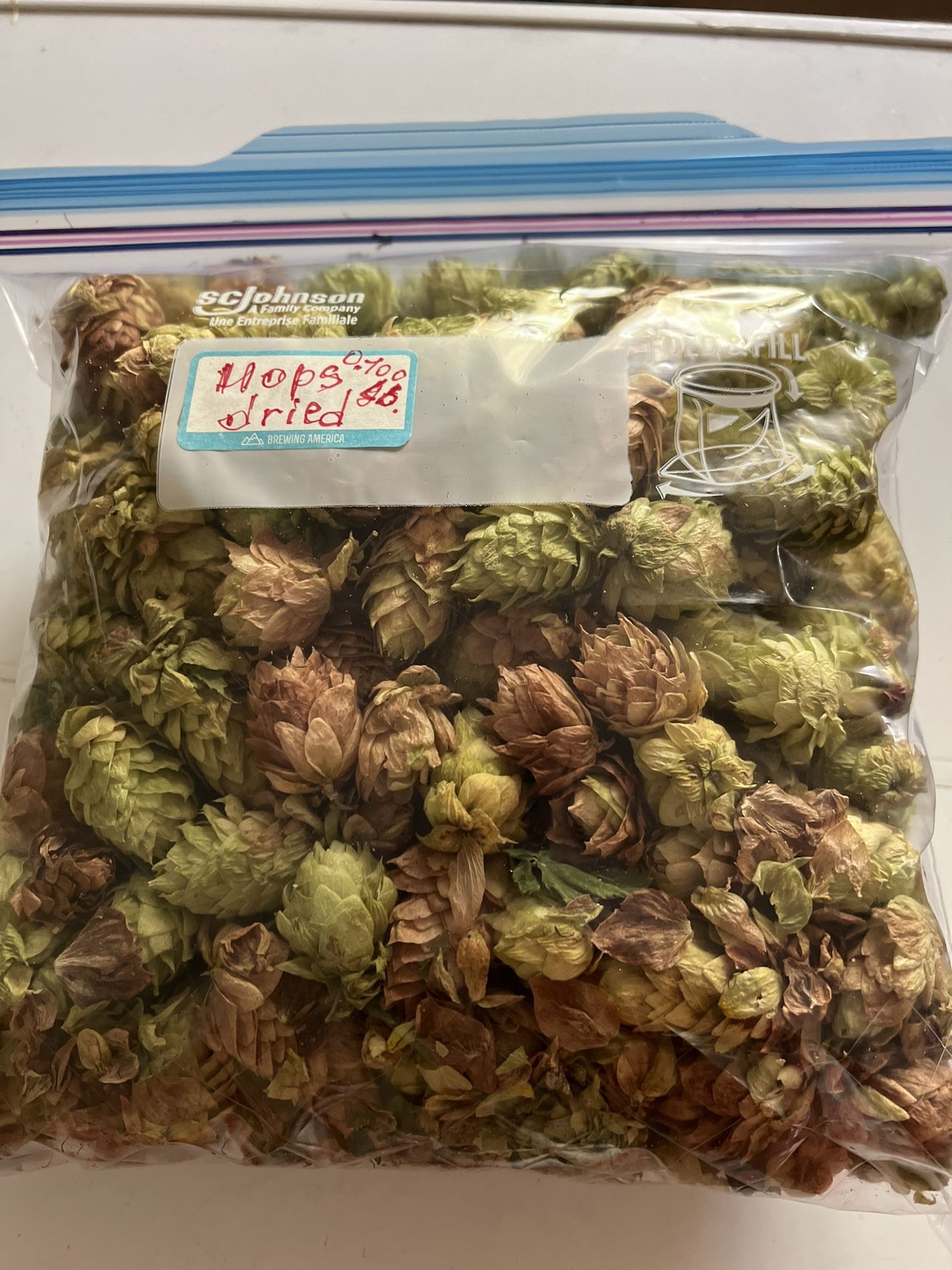 Dried Hop 2024.