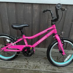 Guardian 16in Pink Bike