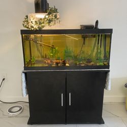 40 Gallon Tank (Started) Set-up PRICE NEGOTIABLE 