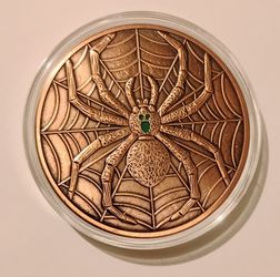 5oz Copper Round - Spider In Web .999 Fine Copper Medallion Coin