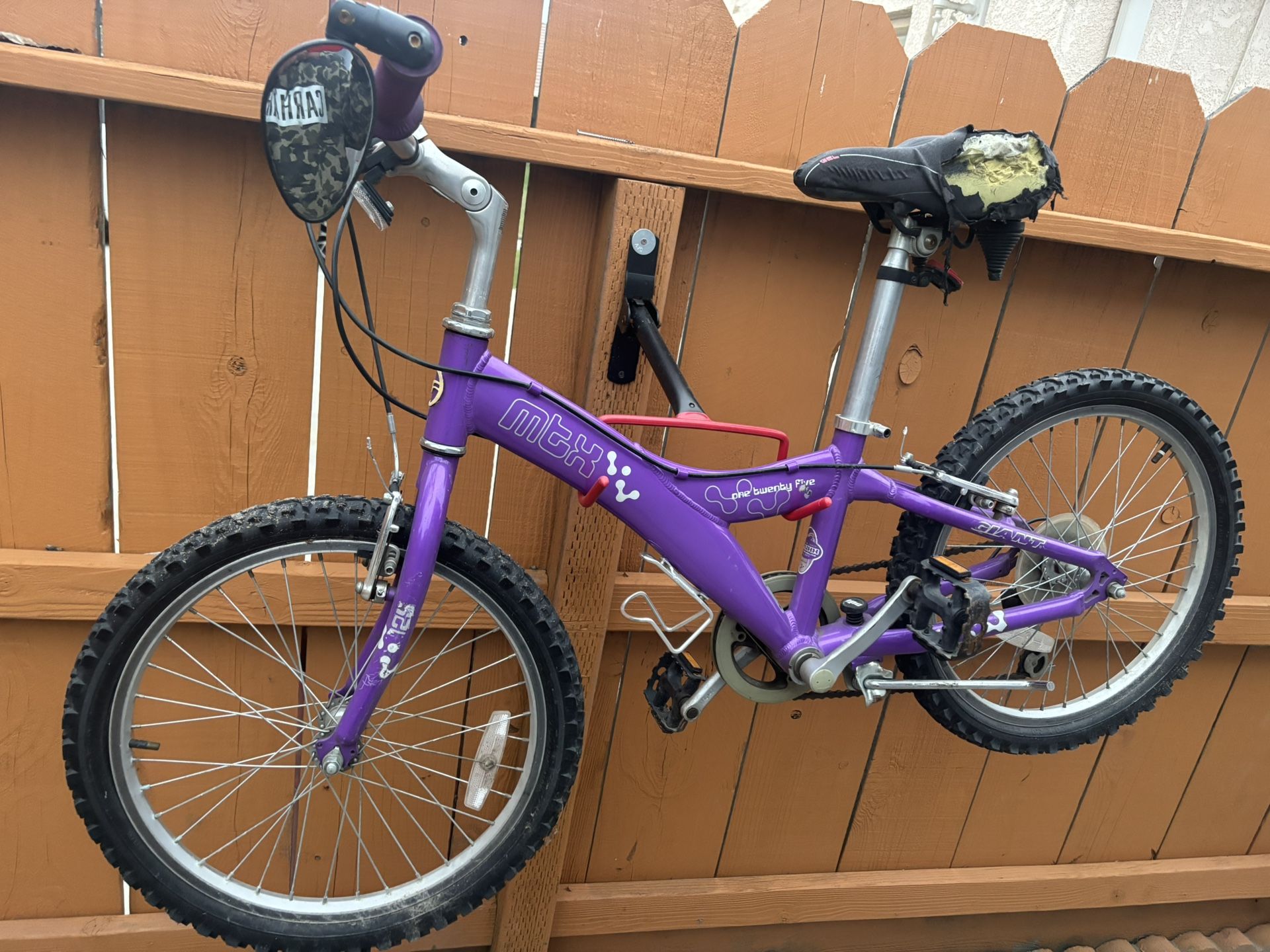 Trek Girls Bike