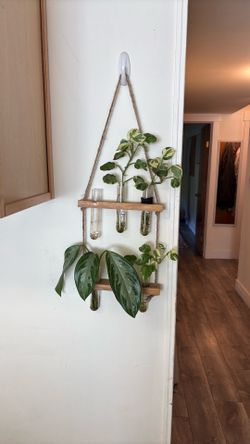 Free plant propagation hanger
