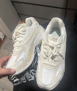 Pumas