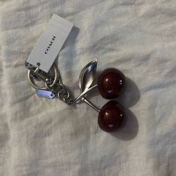 Coach Cherry Accessory Purse