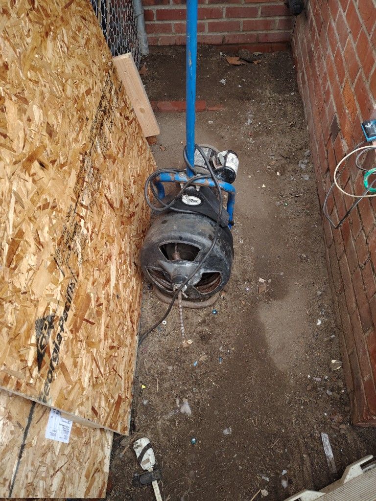 Electric Snake 70 Ft