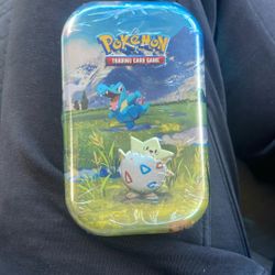 Pokemon Cards Mini Tins