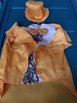 Dumb and dumber costumes for dog