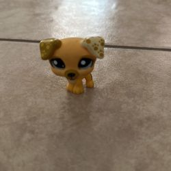 Little Yellow Doggy 🐶🐾🦴Pet Shop