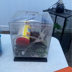 Small Dish Tank