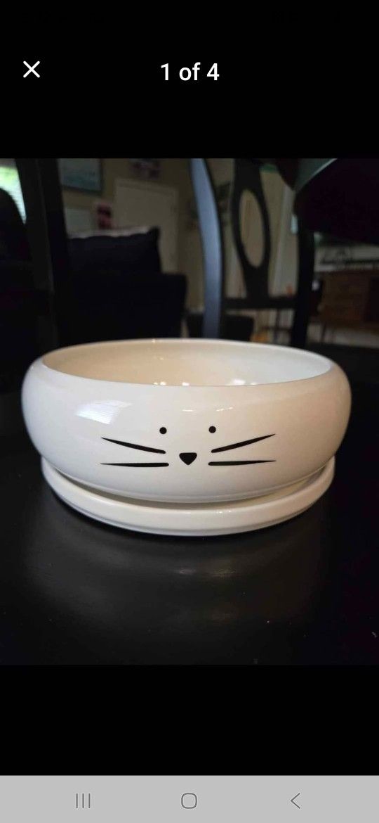 8 Inch Large Cute Cat Ceramic succulent planter pots garden
