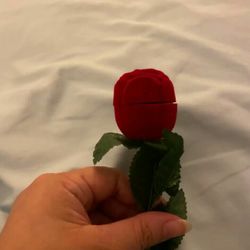 Red rose Flower ring case 