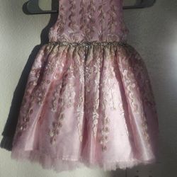 Pink American Princess Dress. Size 4. Used Once .Firm .Excellent quality