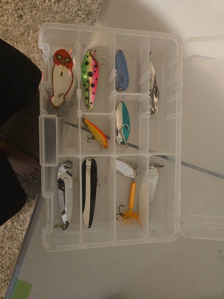 Spoon for Pike, wallet, trout.