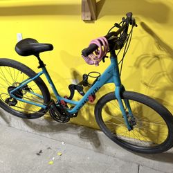 Specialized Roll Bike