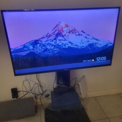 55 Inch TV with stand