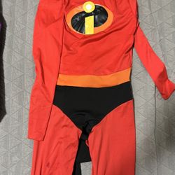 Incredibles Costume-Woman