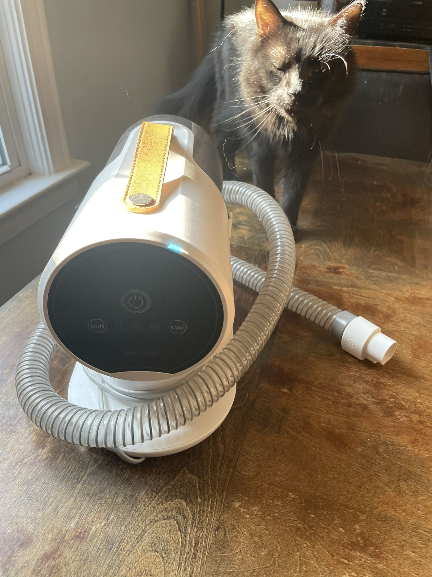 Dog Brush Vacuum