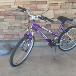 26” Mountain Bike