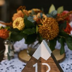 Mountain Peak Table Numbers & Stencils