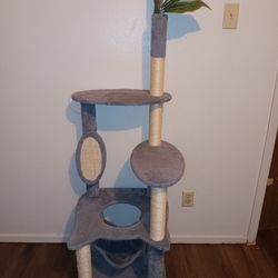 Cat  Tower