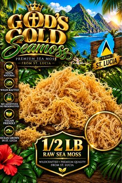 God's Gold Sea Moss 1/2 lb Raw Wildcrafted