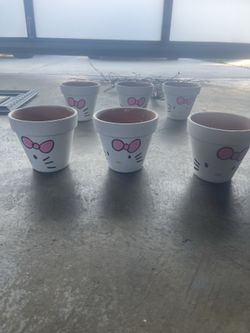 Terracotta pots