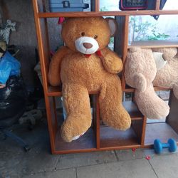 Big Bears 160 