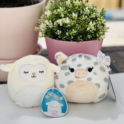 2 squishmallow 4.5”