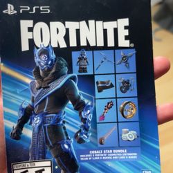 Fortnite PlayStation Bundle Skin 