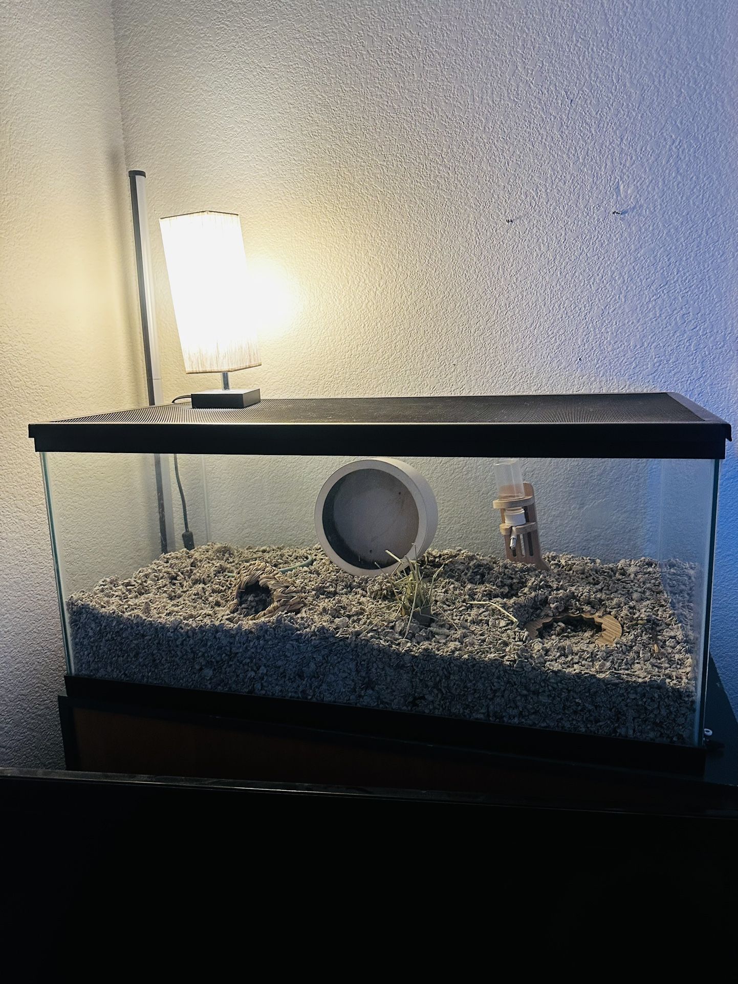 Hamster Glass Tank 40 Gallon + Lid