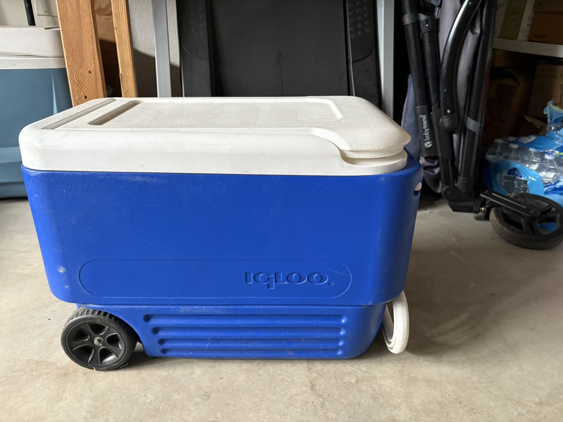 Cooler Igloo
