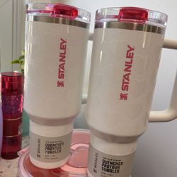 Brand new Valentine’s Day Stanley Cup