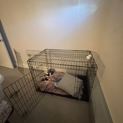 Large Crate