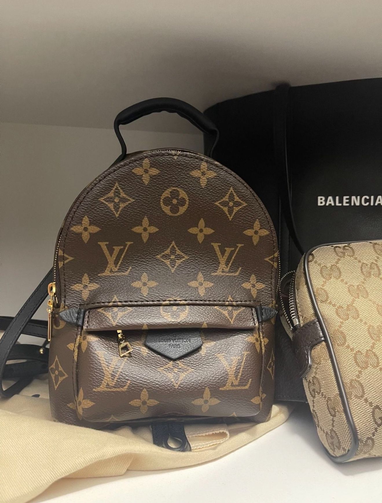 Louis Vuitton Palm Spring Bag 