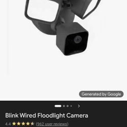 Blink Camera 