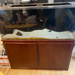 60-70 Gallon Acrylic Tank And Accessories 