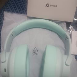 Picun Headphones 