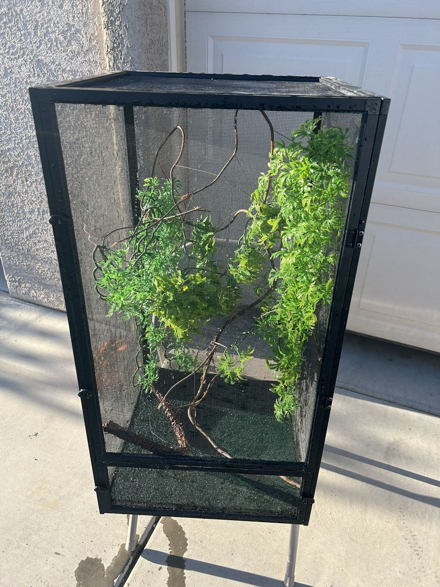 Chameleon Cage
