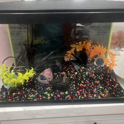 10 Gallon Fish Tank with Lid 