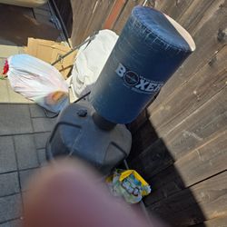 Wave Master Punching Bag