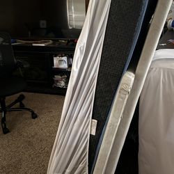 Bunk Beds 