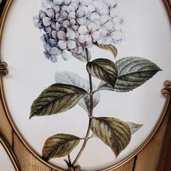 Oval Floral Print- Located In Shelton 