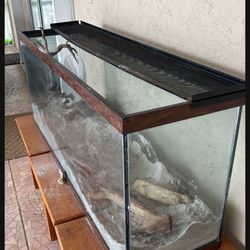 Fish/Reptile Tank