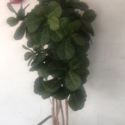 Artificial plant and accessories