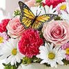 Pam M